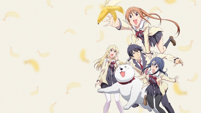 دانلود انیمه دختر احمق Aho Girl