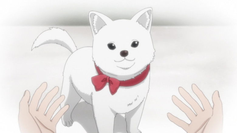 دانلود انیمه توله سگ قارچی Kinoko Inu