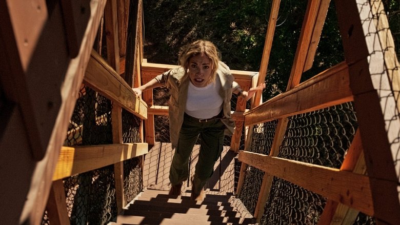 دانلود فیلم Lookout 2025 دیده بان