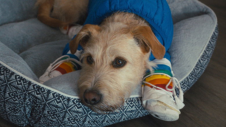 دانلود فیلم Merv 2025 مرو