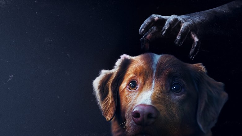 دانلود فیلم Good Boy 2025 پسر خوب