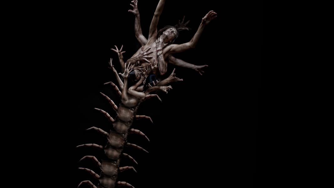 دانلود فیلم هزارپای انسانی The Human Centipede 2 2011