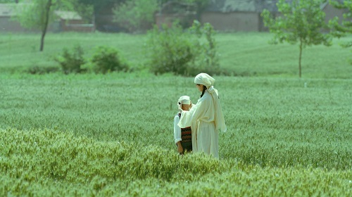زیستن با زمین