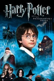 تماشای فیلم هری پاتر و سنگ جادو Harry Potter and the Sorcerer’s Stone 2001 یک