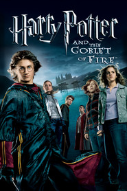 تماشای فیلم هری پاتر و جام آتشین Harry Potter and the Goblet of Fire 2005 چهار